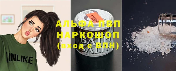 PSILOCYBIN Богданович