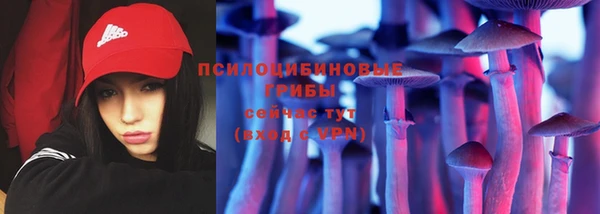 PSILOCYBIN Богданович