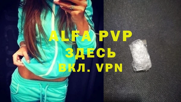 PSILOCYBIN Богданович