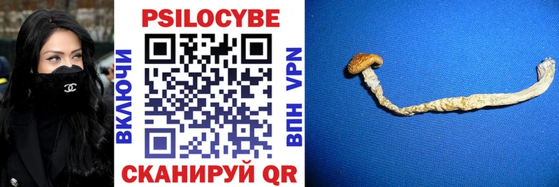 hydra   Малая Вишера  Галлюциногенные грибы Cubensis 